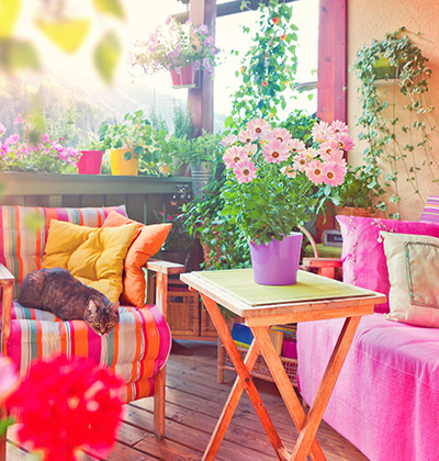 Colors bring life to your backyard