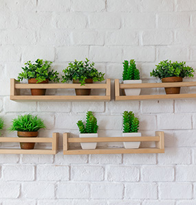 Decorative shelves bring life